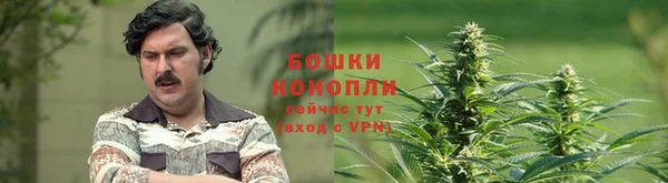 кокс Каменка