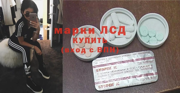 ПСИЛОЦИБИНОВЫЕ ГРИБЫ Каменногорск