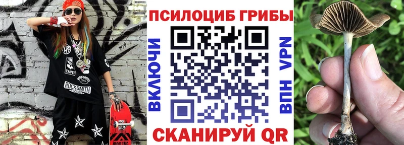 Псилоцибиновые грибы прущие грибы  Купить закладки  Кореновск 